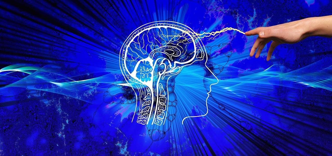 吸引力法則的科學依據：揭秘心想事成的腦科學機制與高效實踐指南